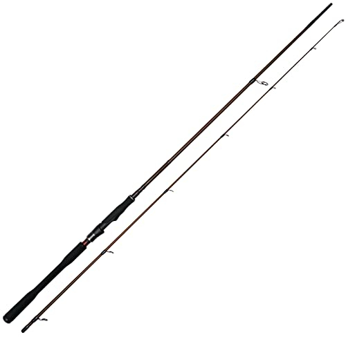Westin Raubfischrute zum Zanderangeln & Hechtangeln W4 Powershad 2nd 240cm XH 30-90g