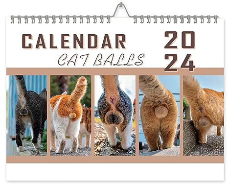 Anloximt Katzenhintern-Kalender Katzenkugeln Kalender Januar 2024 - Dezember2024 Wandkalender zum Aufhängen Lustiger Kalender für Kinder und Erwachsene Katzenliebhaber