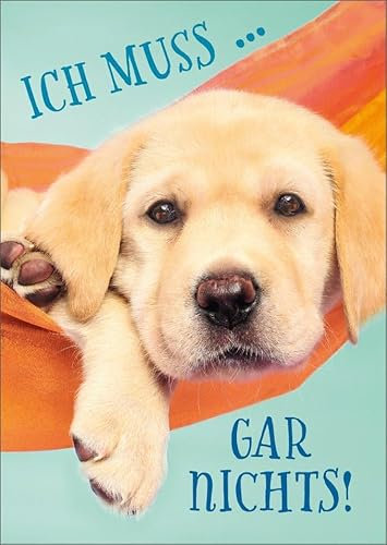 Gutsch Verlag Tier Postkarte Hundemotiv - Ich muss gar nichts! - Lustige und süße Hundepostkarte für jeden Anlass, hochwertige Qualität, perfekte Karte für Tierfreunde und Hundefans.
