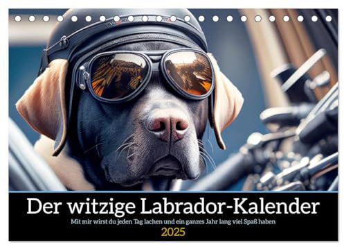 Der witzige Labrador-Kalender (Tischkalender 2025 DIN A5 quer), CALVENDO Monatskalender: Mit mir wird der Labrador Besitzer jeden Tag lachen und ein ganzes Jahr lang viel Spaß haben (CALVENDO Tiere)