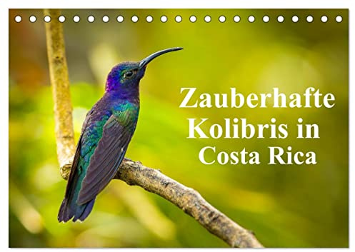Zauberhafte Kolibris in Costa Rica (Tischkalender 2026 DIN A5 quer), CALVENDO Monatskalender: Ungefähr 52 Arten von Kolibris sind in Costa Rica ... ganzen Land zu sehen sind. (CALVENDO Tiere)