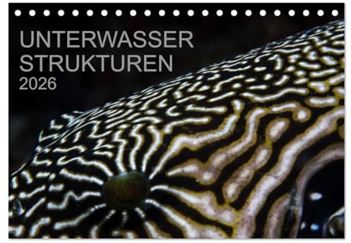 Unterwasser Strukuren (Tischkalender 2026 DIN A5 quer), CALVENDO Monatskalender: Ein Kalender für Taucher und Designer (CALVENDO Natur)