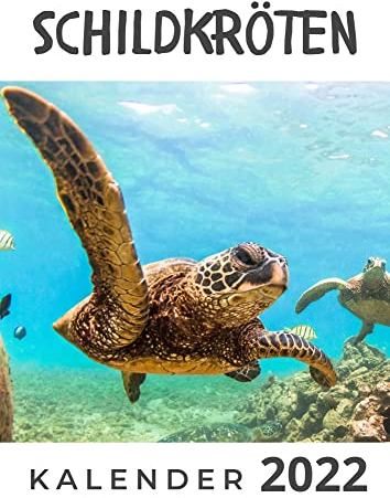 Schildkröten: Kalender 2022
