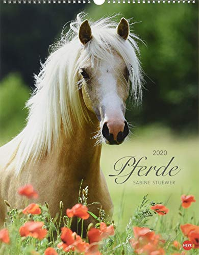 Pferde Classics. Wandkalender 2020. Monatskalendarium. Spiralbindung. Format 34 x 44 cm