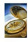 World of the Golden Compass: The Otherworldly Ride Continues [Paperback]