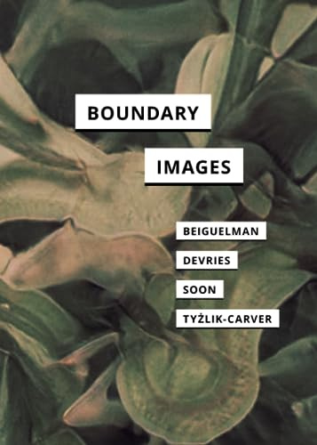 Boundary Images (In Search of Media)