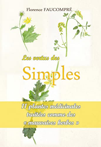 Les vertus des simples : 11 plantes médicinales traitées comme de mauvaises herbes