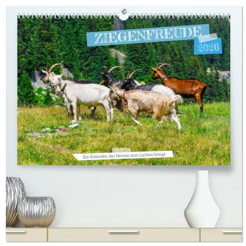 Ziegenfreude (hochwertiger Premium Wandkalender 2026 DIN A2 quer), Kunstdruck in Hochglanz: Gebirgsziegen sind robuste, kletterfähige Tiere mit ... und sind anpassungsfähig (CALVENDO Tiere)