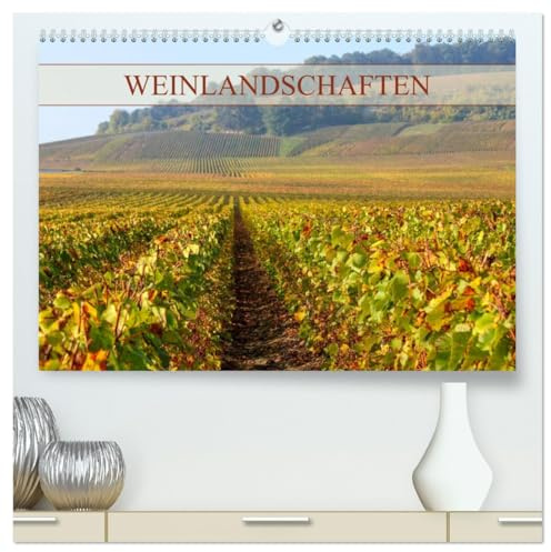 Weinlandschaften (hochwertiger Premium Wandkalender 2026 DIN A2 quer), Kunstdruck in Hochglanz: Entdecken Sie traumhafte Weinlandschaften in deutschen und französischen Anbaugebieten (CALVENDO Natur)
