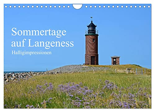 Sommertage auf Langeness (Wandkalender 2026 DIN A4 quer), CALVENDO Monatskalender: Kommen Sie mit auf die größte Hallig im Wattenmeer der Nordsee (CALVENDO Natur)