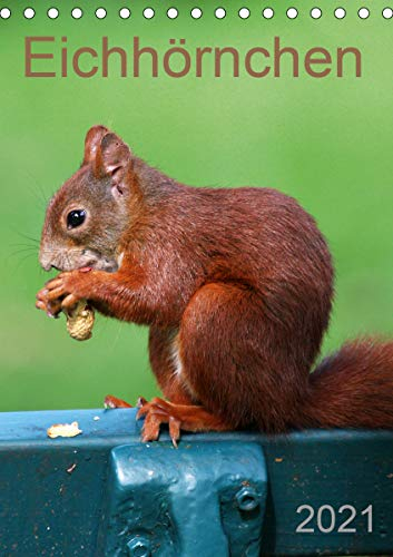 Eichhörnchen (Tischkalender 2021 DIN A5 hoch): Nussknacker (Monatskalender, 14 Seiten ) (CALVENDO Tiere)