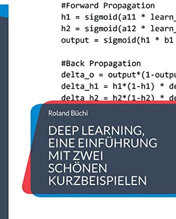 Deep Learning, eine Einführung mit zwei schönen Kurzbeispielen