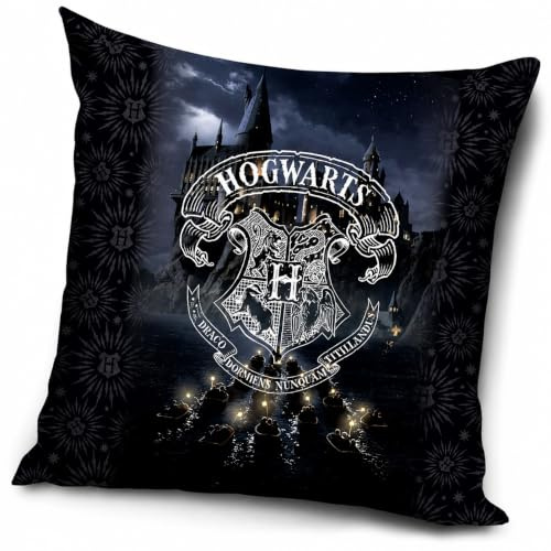 Harry Potter Kissen Dekokissen Zierkissen gefüllt 40 cm x 40 cm (HP192006)