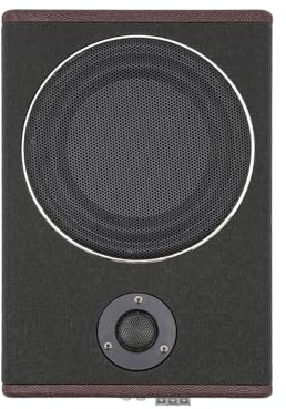 Subwoofer attivo da 8 pollici, 600 W, mini subwoofer attivo, auto sotto il sedile, per auto e camper
