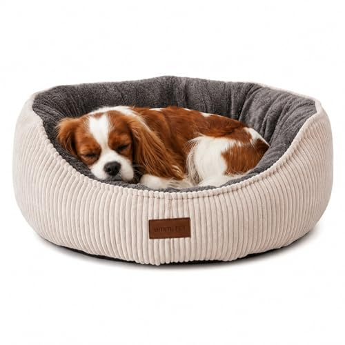 Emmi-pet Katzenbett & Hundebett Legend M, Grau | 50x40x22 cm, für mittelgroße Hunde, waschbar, rutschfeste Silikon-Unterseite, OEKO-TEX Bezug, oval, feuchtigkeitsresistent