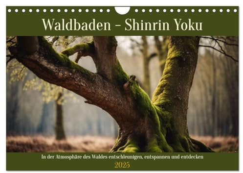 Waldbaden - Shinrin Yoku (Wandkalender 2025 DIN A4 quer), CALVENDO Monatskalender