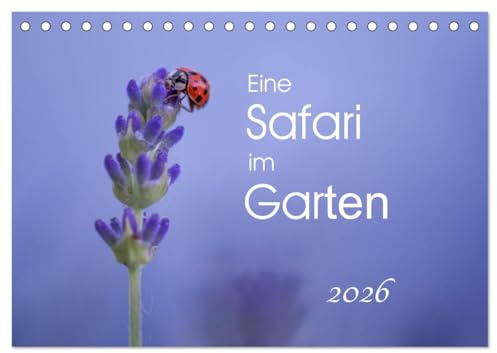 Eine Safari im Garten (Tischkalender 2026 DIN A5 quer), CALVENDO Monatskalender: Schmetterlinge, Raupen & Co., direkt vor der Haustür (CALVENDO Tiere)