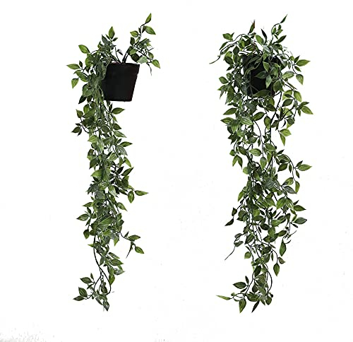 DANISCH Set of 2 Hanging Artificial Plants Vines Plants Plastic Fake Plants Plant Pot Plant for Home Kitchen Garden Office Wedding Hanging Pot Wall Decoration Indoor Outdoor (Black)