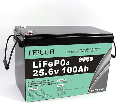 Batteria LiFePO4 24V 100Ah, batteria al litio ferro fosfato invece della batteria AGM per auto o batteria a ciclo profondo, per camper, barca, sistema solare, campeggio all'aperto, ecc.