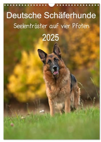 Deutsche Schäferhunde - Seelentröster auf vier Pfoten (Wandkalender 2025 DIN A3 hoch), CALVENDO Monatskalender