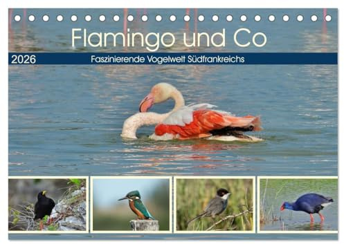 Flamingo und Co - Faszinierende Vogelwelt Südfrankreichs (Tischkalender 2026 DIN A5 quer), CALVENDO Monatskalender: Grandiose Vogelbilder aus Südfrankreich (CALVENDO Tiere)