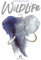 Watercolor Wildlife Kalender 2023, Wandkalender im Hochformat (33x45 cm) - Tier- und Kunstkalender mit Aquarell-Illustrationen