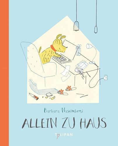 Allein zu Haus: Bilderbuch
