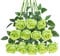 Tifuly 12 PCS Künstliche Rosen, 19,68 '' Single Long Stem Fake Rose Seide Braut Hochzeitsstrauß Realistische Blume für Hausgarten Party Hotel Büro Dekor (Blüten Rosen, Grün)