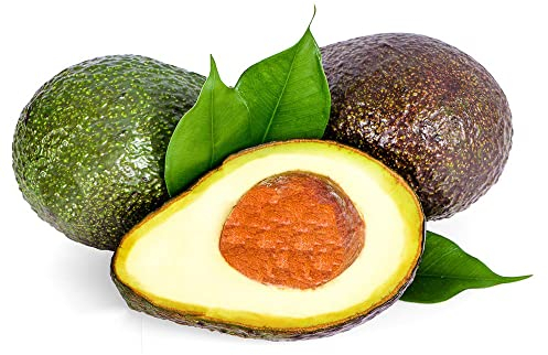 10 Stück avocado pflanze baum pflanzen set samen avocadobaum mix kleines geschenk für frauen saat garten geschenke für männer obstbäume obst bio saatgut deko pflanzen säulenobst