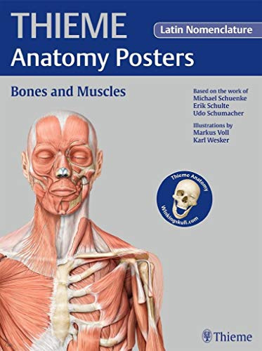 THIEME Anatomy Posters Bones and Muscles, Latin Nomeclature