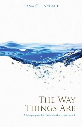 The Way Things Are: A Living Approach to Buddhism (Buddhism (O Books))