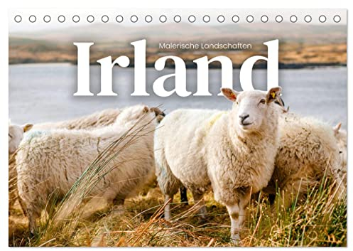 Irland - Malerische Landschaften (Tischkalender 2025 DIN A5 quer), CALVENDO Monatskalender