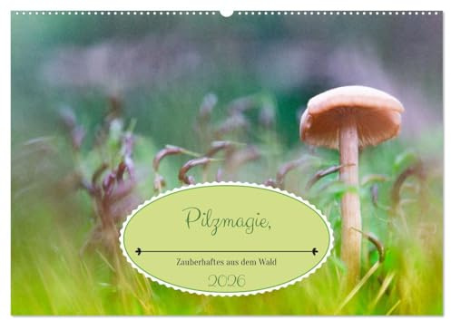 Pilzmagie (Wandkalender 2026 DIN A2 quer), CALVENDO Monatskalender: Kleine Pilze im Makro ganz groß dargestellt (CALVENDO Natur)