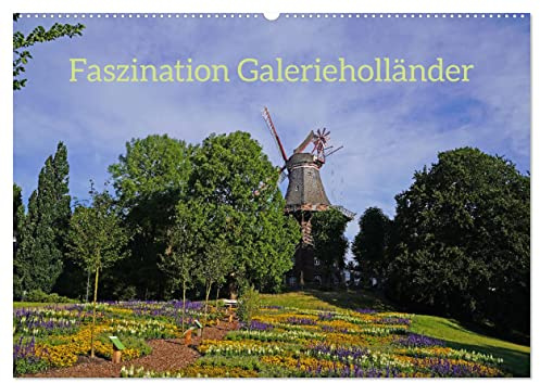 Faszination Galerieholländer (Wandkalender 2026 DIN A2 quer), CALVENDO Monatskalender: Windkraftnutzung in der schönsten Bauweise (CALVENDO Orte)