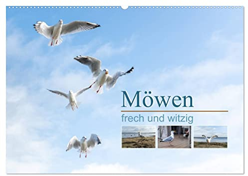 Möwen frech und witzig (Wandkalender 2026 DIN A2 quer), CALVENDO Monatskalender: Ein Kalender der fröhlich macht und zum Schmunzeln anregt (CALVENDO Tiere)