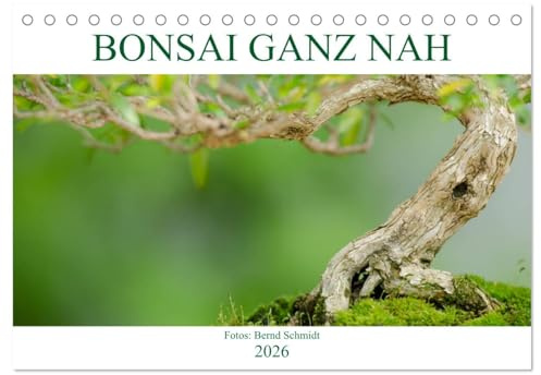 Bonsai ganz nah (Tischkalender 2026 DIN A5 quer), CALVENDO Monatskalender: Bonsai Bäume ganz nah betrachtet (CALVENDO Natur)
