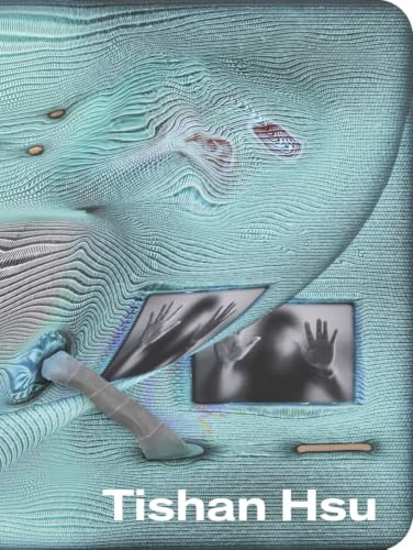Tishan Hsu: Ausst. Kat. Museum of Contemporary Art Toronto, MAMCO Geneva, and the Secession in Vienna.