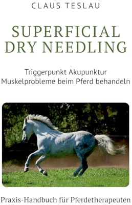 Superficial Dry Needling: Triggerpunkt Akupunktur und Myofasziale Tiefenmassage, Stresspunktmassage, Therapeutische Synergie