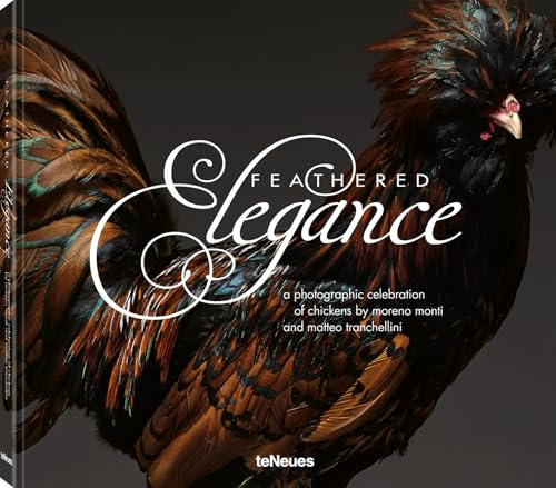 Feathered Elegance: A Photographic Celebration of Chickens