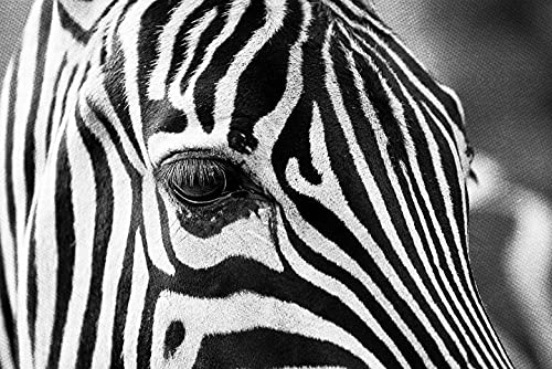 kreuzstich stickpackungen vorgedruckt bilder kinder erwachsene anfanger Zebra kreuzstich set diy 11ct Baumwolle Stoff Vorsortierte Garne SchlafzimmerInnendekoration (40×50cm)