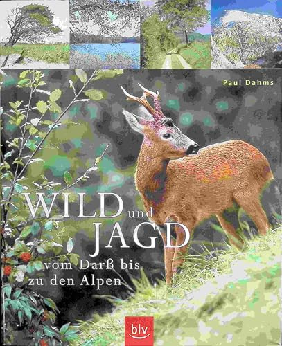 Wild und Jagd: Vom Darss bis zu den Alpen