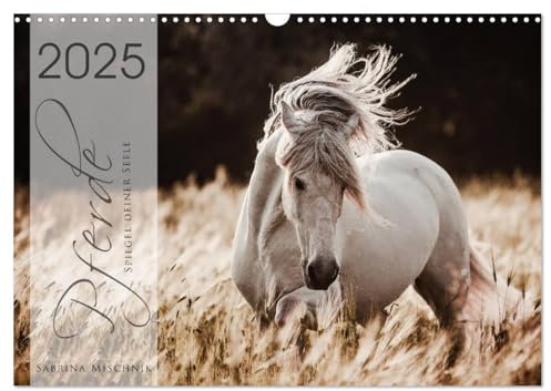 Spiegel deiner Seele (Wandkalender 2025 DIN A3 quer), CALVENDO Monatskalender