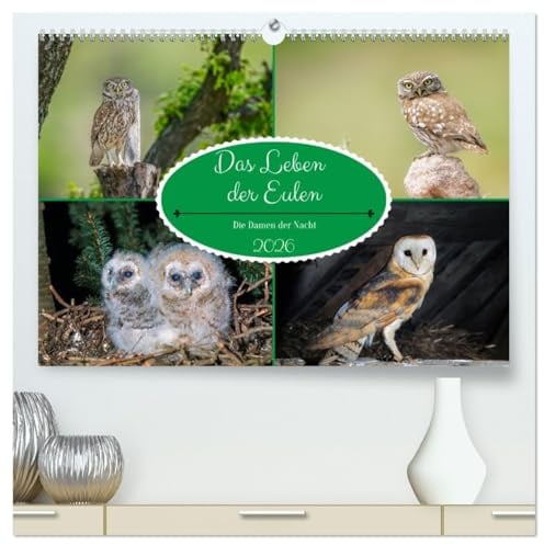 Das Leben der Eulen, die Damen der Nacht (hochwertiger Premium Wandkalender 2026 DIN A2 quer), Kunstdruck in Hochglanz: Auf Entdeckungsreise zu den Eulen (CALVENDO Orte)