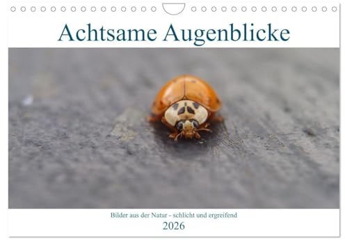 Achtsame Augenblicke (Wandkalender 2026 DIN A4 quer), CALVENDO Monatskalender: Bewusste achtsame Fotografie aus der Natur - schlicht und ergreifend (CALVENDO Natur)