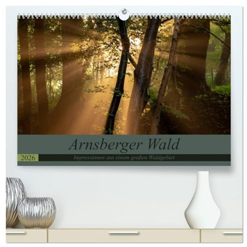 Arnsberger Wald (hochwertiger Premium Wandkalender 2026 DIN A2 quer), Kunstdruck in Hochglanz: Impressionen aus einem großen Waldgebiet (CALVENDO Natur)