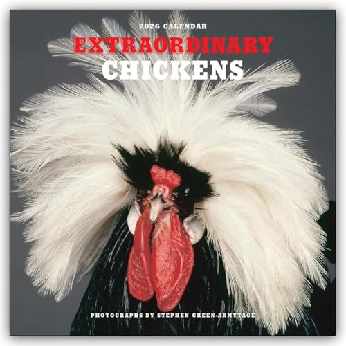 Extraordinary Chickens – Außergewöhnliche Hühner 2026 – Wandkalender – Original Harry N. Abrams Kalender [Mehrsprachig] [Kalender]