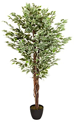 hjh OFFICE Kunstpflanze FICUS Benjamini Höhe 165 cm Grün/Weiß 1008 Blätter Deko Zimmerpflanze Birkenfeige künstlich, 871000