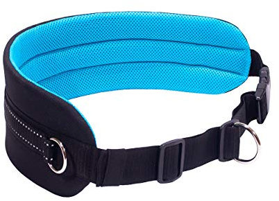 LASALINE Canicross Gürtel Bauchgurt für Hundeleine Dogtrekking Gürtel in Schwarz Hellblau