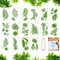 DIKEBAO 16 Stück Blätter Schablone Tropischen Blätter Malen Vorlagen Blattformen Wiederverwendbare Malschablone Dschungel Blatt Schablone 30 x 15 cm Wandmalerei Schablone für Malerei Holz DIY Deko