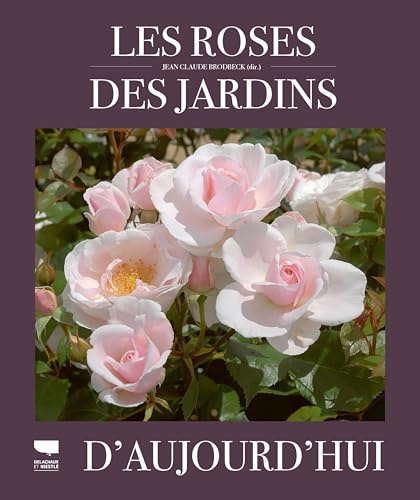 Les Roses des jardins d'aujourd'hui
